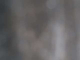 acampbells604 webcam