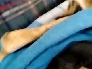 ffiranek89