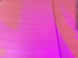 georgina-leigh Live Webcam on CamSoda