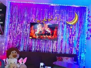 karoll-ts webcam
