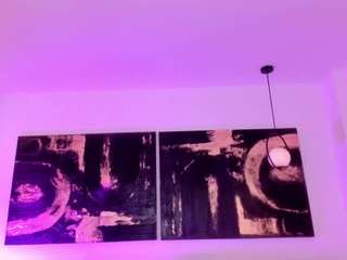 maiacollins webcam model