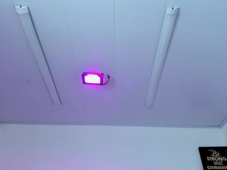 RodriguuezIsabelll18