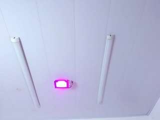 RodriguuezIsabelll18