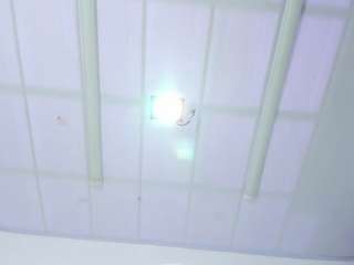 rodriguuezisabelll18