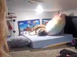 bmorganne420