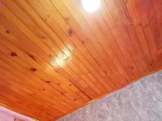 Lili-little's Live Sex Cam Show