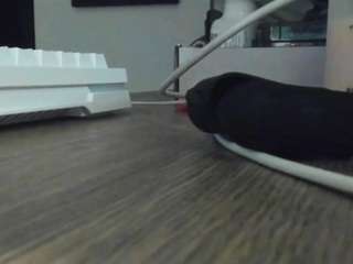 novaremm Live Webcam on CamSoda