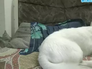 slimboy10's Live Sex Cam Show