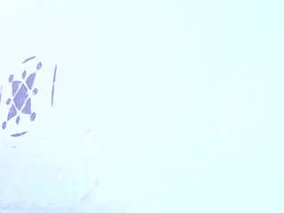 catalina-sensual webcam