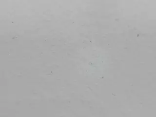 SamWillison's Live Sex Cam Show