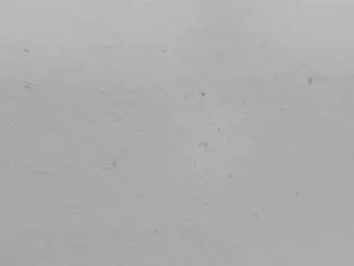 SamWillison's Live Sex Cam Show