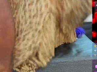 daffnelewis live cam profile