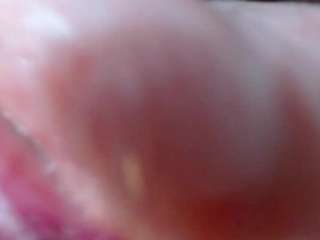 missevoleth2