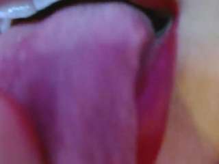 missevoleth2