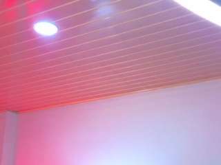 scarlette-davis webcam