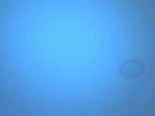 antonella-west webcam