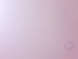 antonella-west webcam