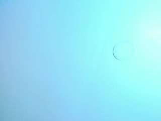 antonella-west webcam