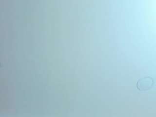 antonella-west webcam