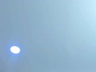 Antonella-West live webcam show