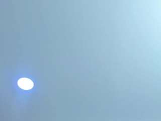 Antonella-West live webcam show