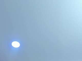 Antonella-West live webcam show