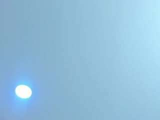 Antonella-West live webcam show