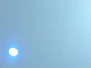 Antonella-West live webcam show