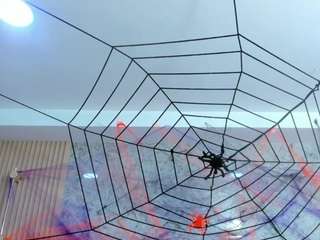 Antonella-West