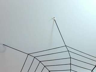antonella-west
