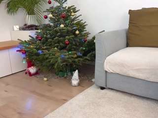 mikeandlana Live Webcam on CamSoda