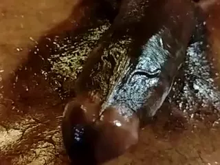 lord3rd's Live Sex Cam Show