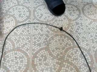 alexabravva from CamSoda is Freechat