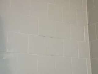 pytamorx