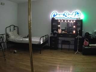 voyeurcam-celticiron-02