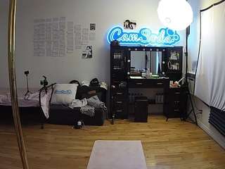 voyeurcam-celticiron-02