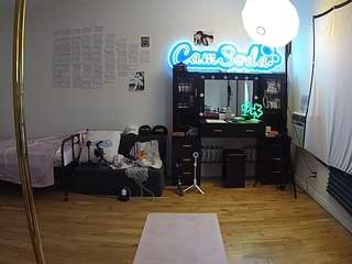 voyeurcam-celticiron-02