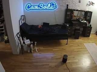 voyeurcam-celticiron-02