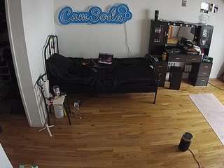 voyeurcam-celticiron-02