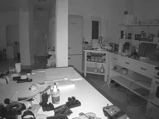 voyeurcam-celticiron-02