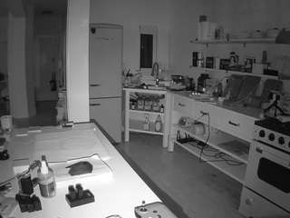 voyeurcam-celticiron-02