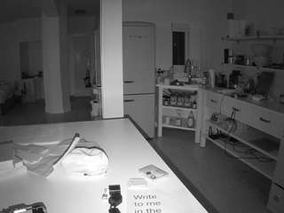 voyeurcam-celticiron-02