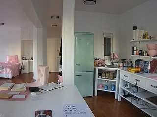 voyeurcam-celticiron-02