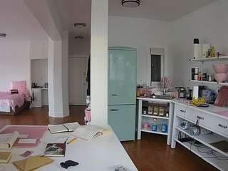 voyeurcam-celticiron-02