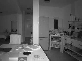 voyeurcam-celticiron-02