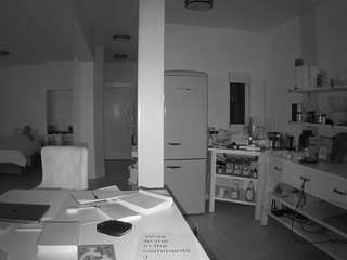 voyeurcam-celticiron-02