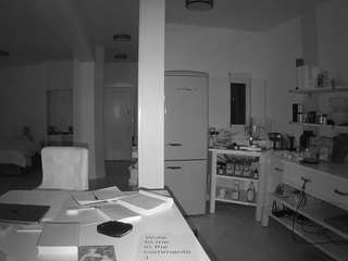 voyeurcam-celticiron-02