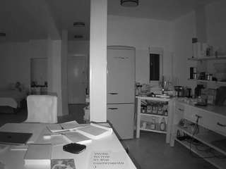 voyeurcam-celticiron-02