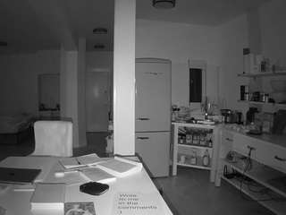 voyeurcam-celticiron-02