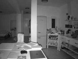 voyeurcam-celticiron-02